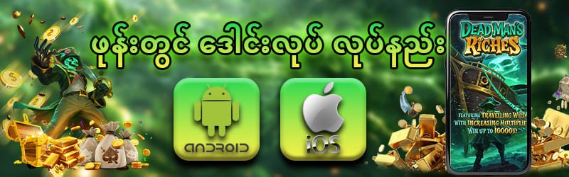 Mobile App & Web Platform